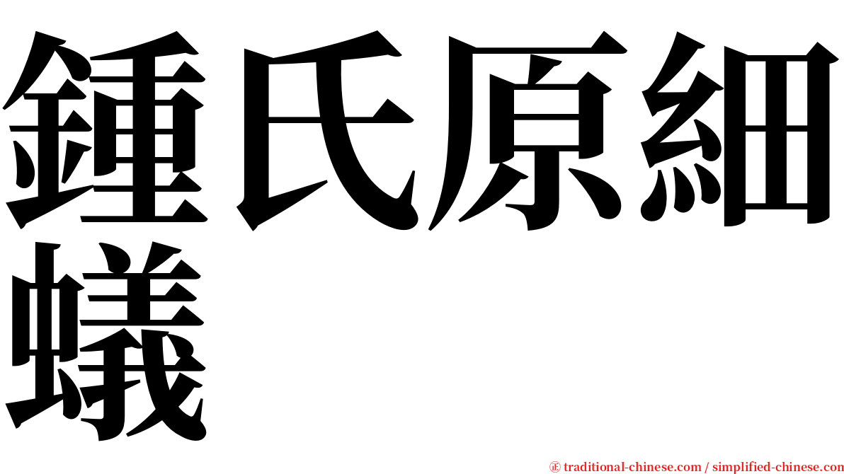 鍾氏原細蟻 serif font