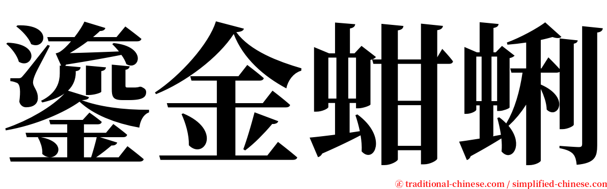 鎏金蚶蜊 serif font