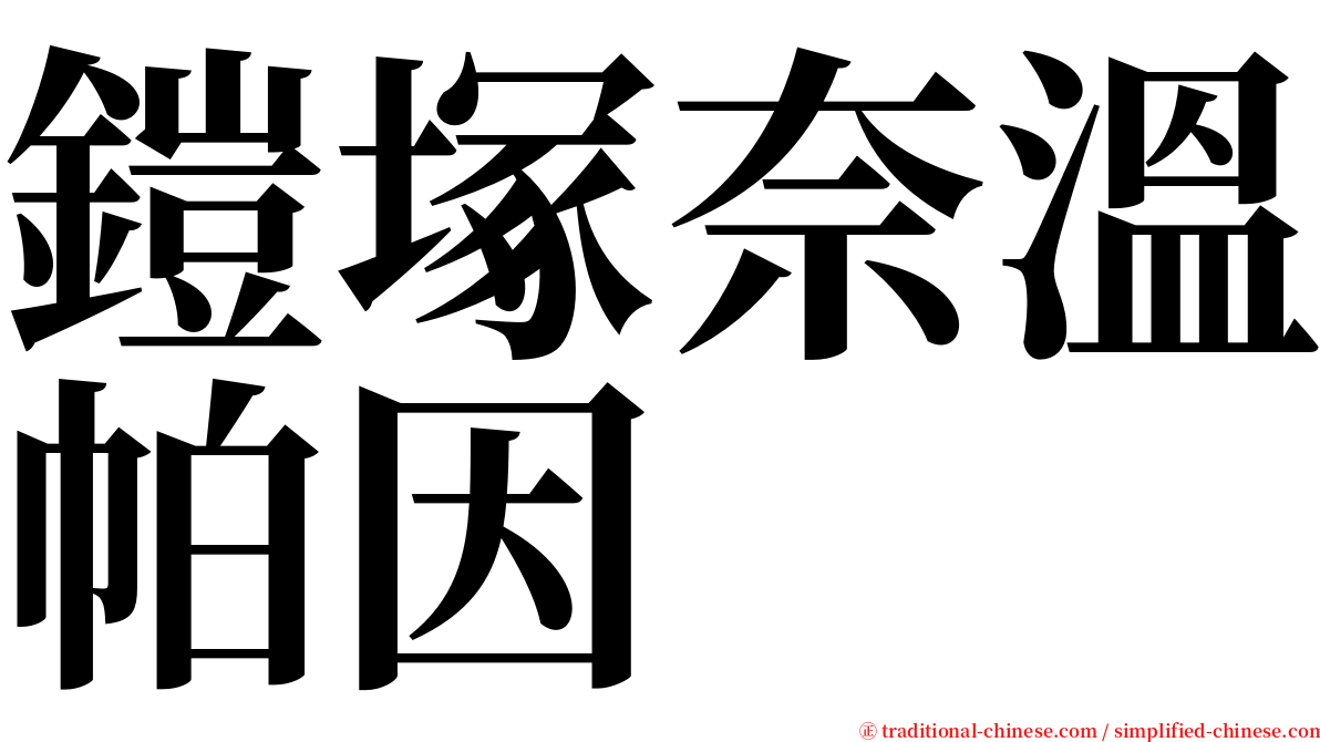 鎧塚奈溫帕因 serif font