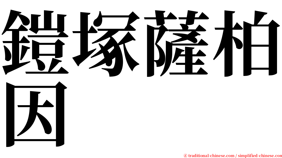 鎧塚薩柏因 serif font