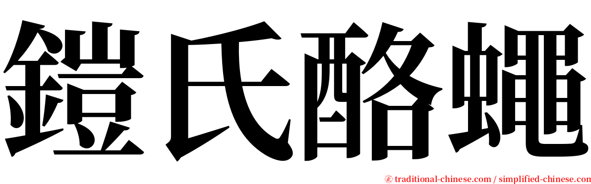 鎧氏酪蠅 serif font