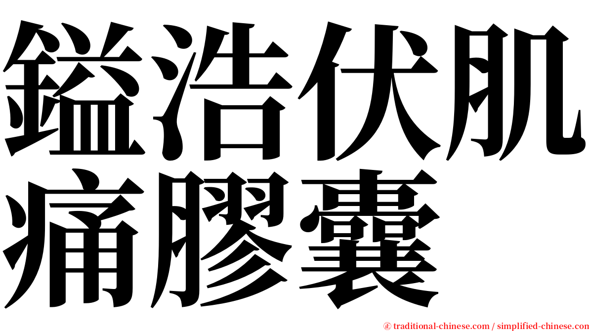 鎰浩伏肌痛膠囊 serif font