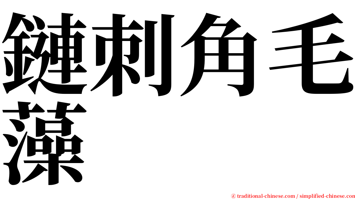 鏈刺角毛藻 serif font