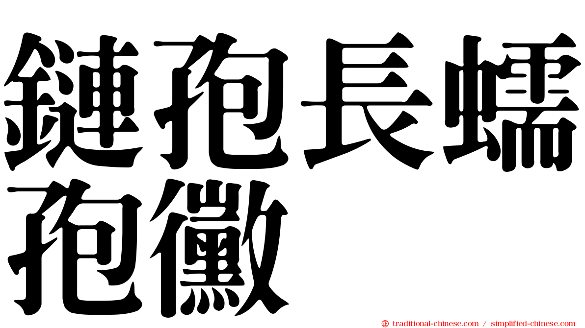 鏈孢長蠕孢黴