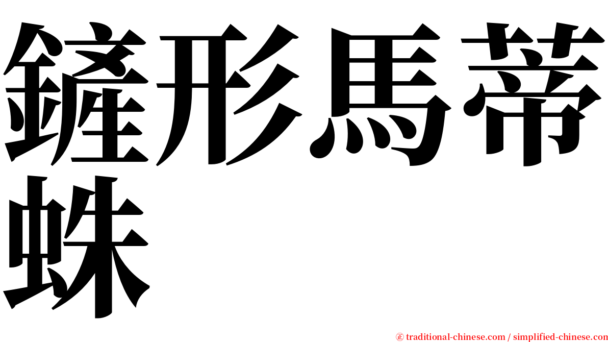 鏟形馬蒂蛛 serif font