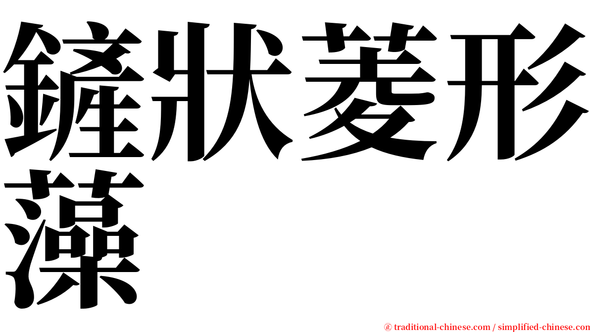 鏟狀菱形藻 serif font