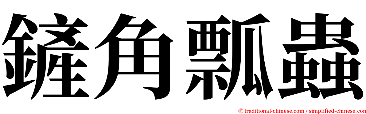 鏟角瓢蟲 serif font