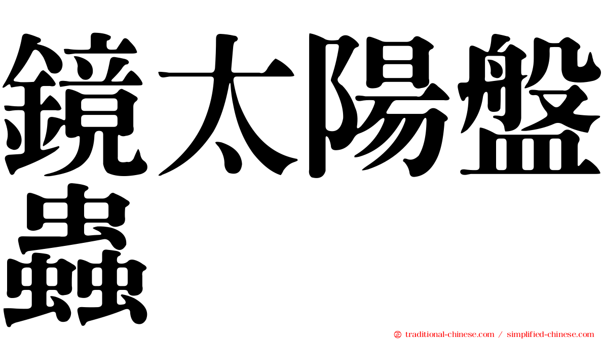 鏡太陽盤蟲