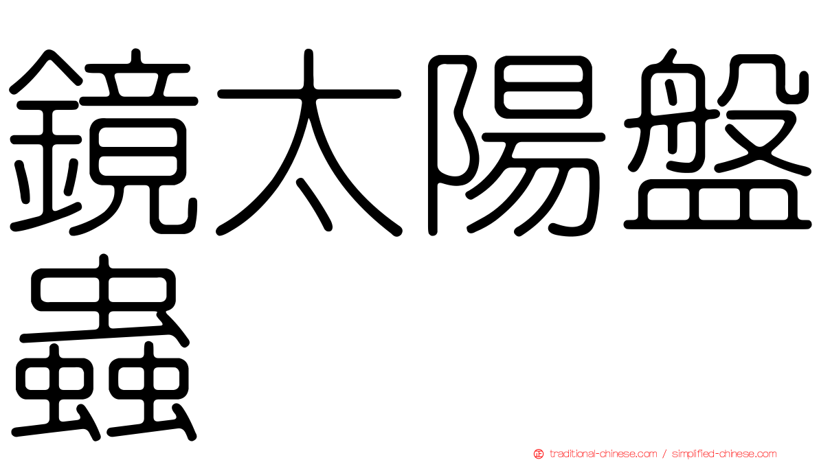 鏡太陽盤蟲