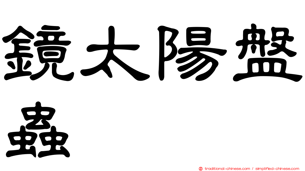 鏡太陽盤蟲