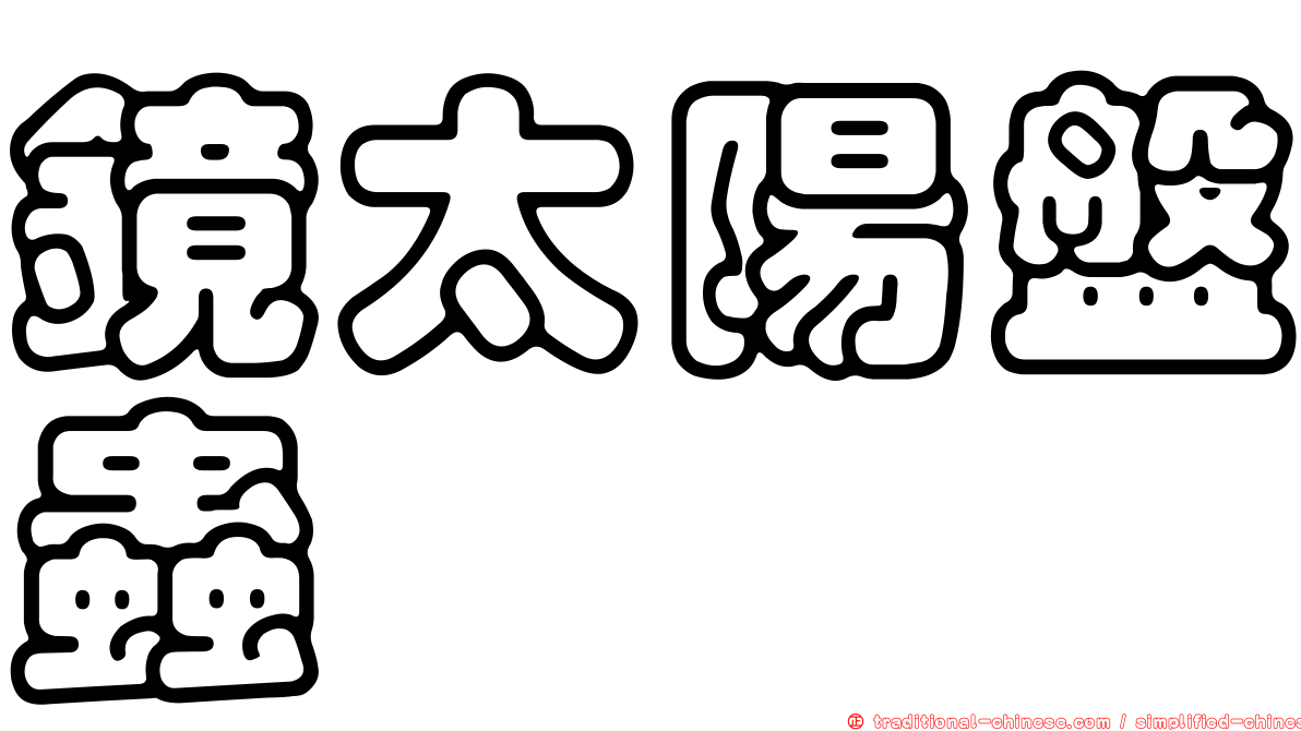 鏡太陽盤蟲