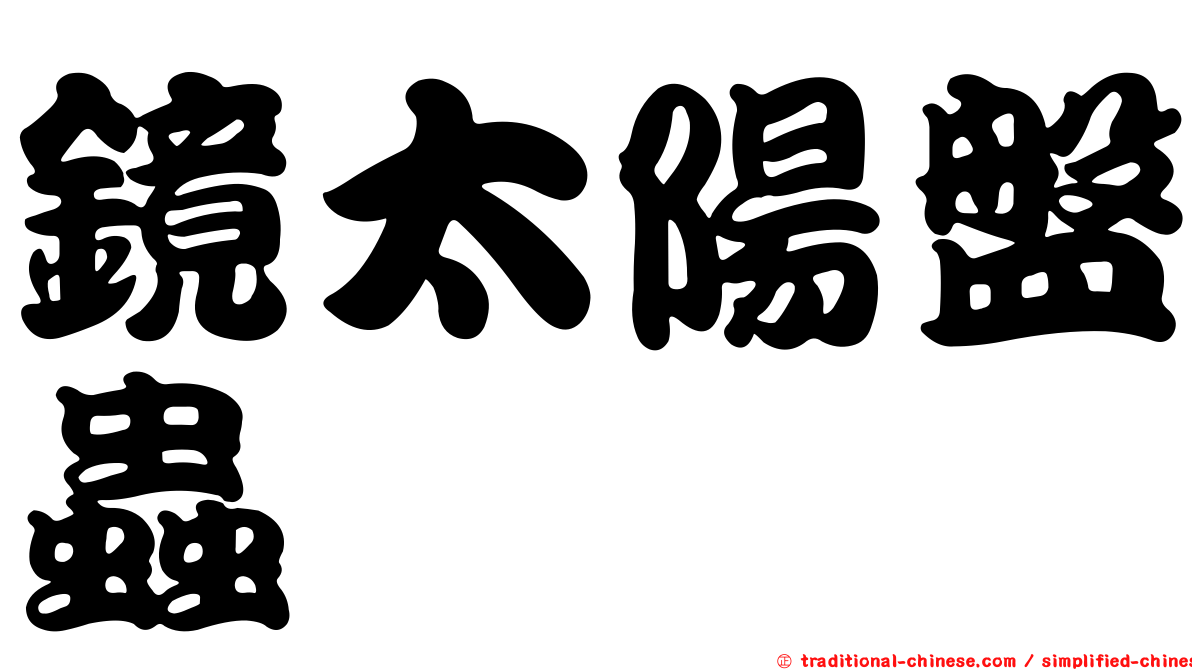 鏡太陽盤蟲