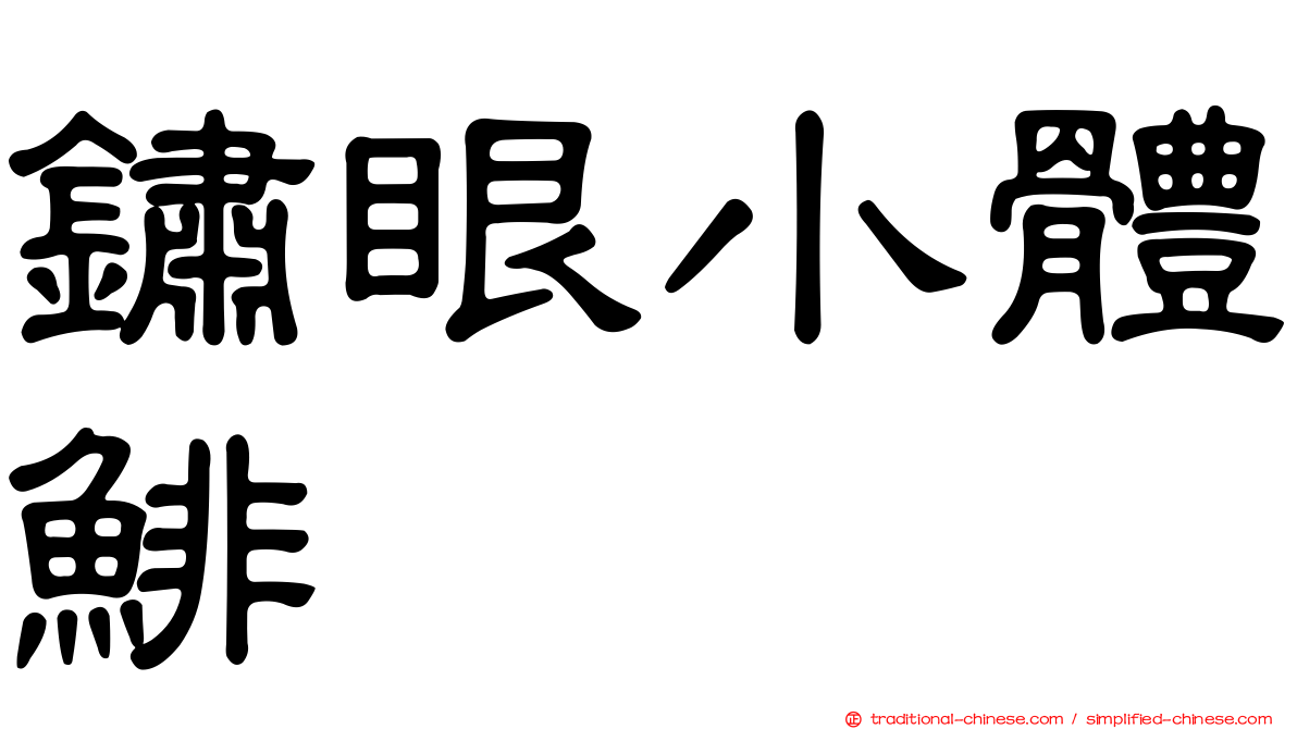 鏽眼小體鯡