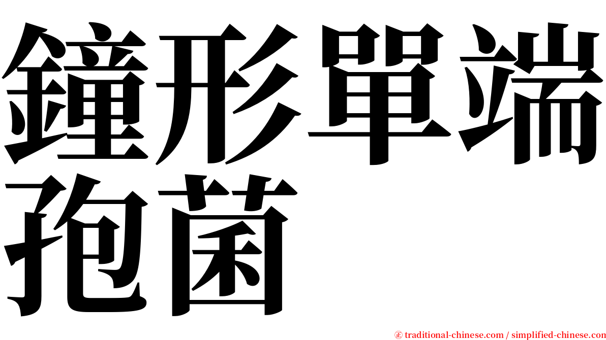 鐘形單端孢菌 serif font