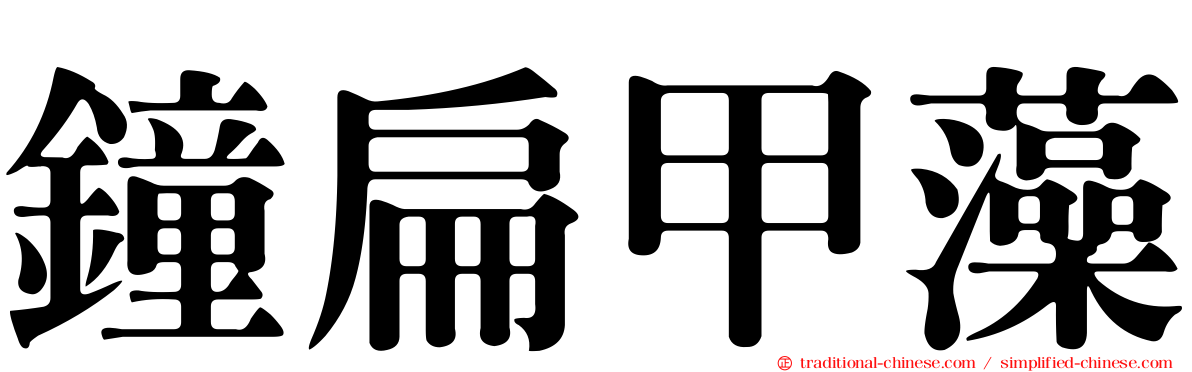 鐘扁甲藻