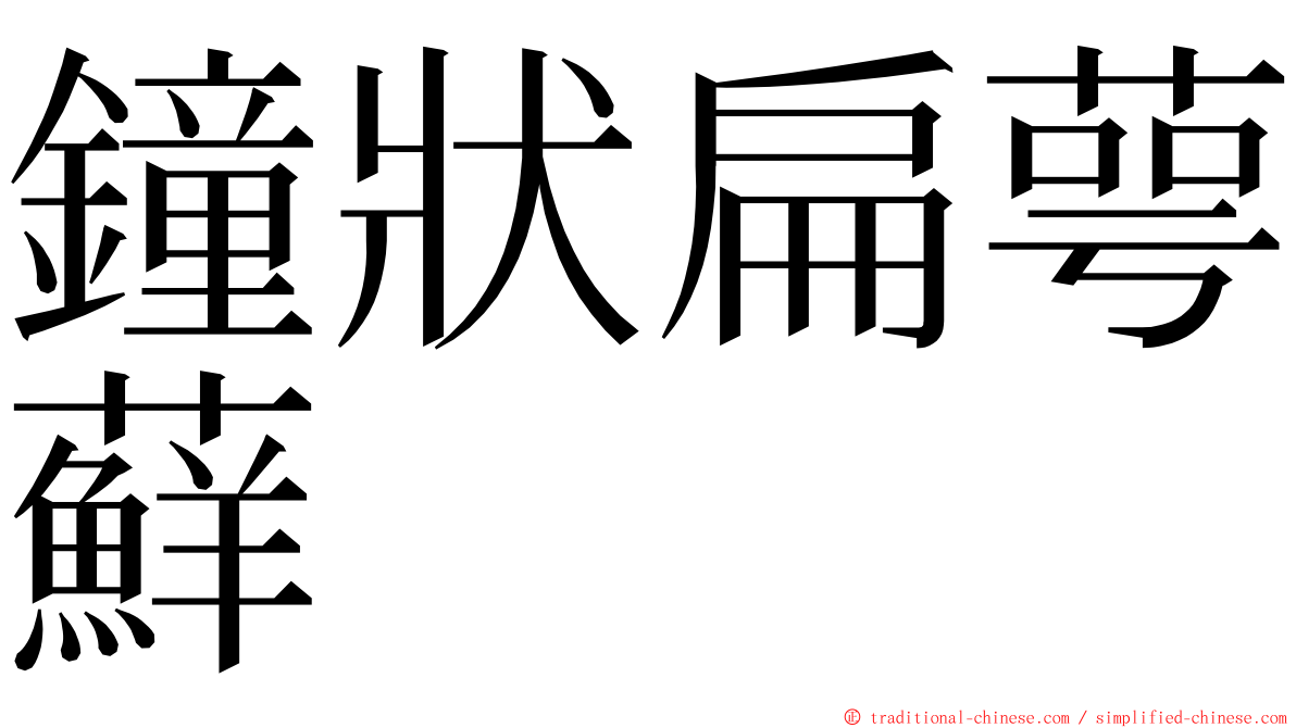 鐘狀扁萼蘚 ming font