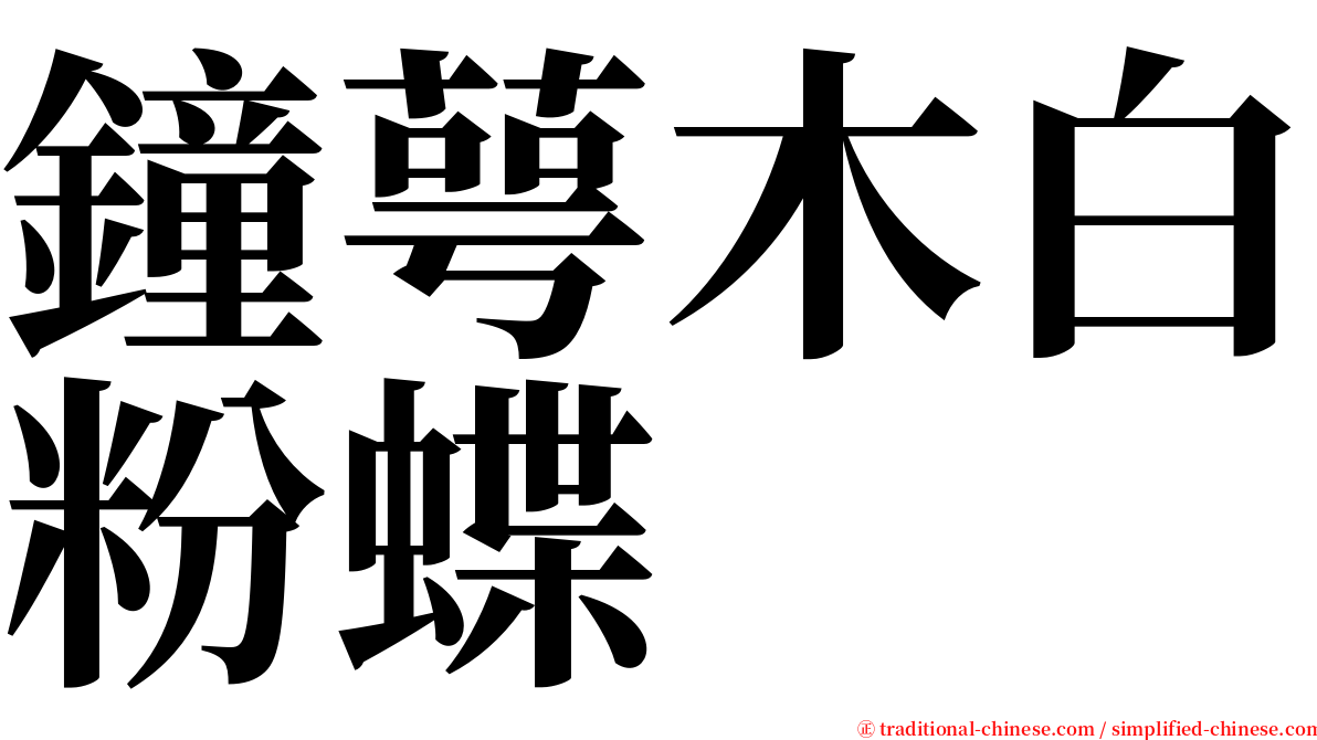 鐘萼木白粉蝶 serif font