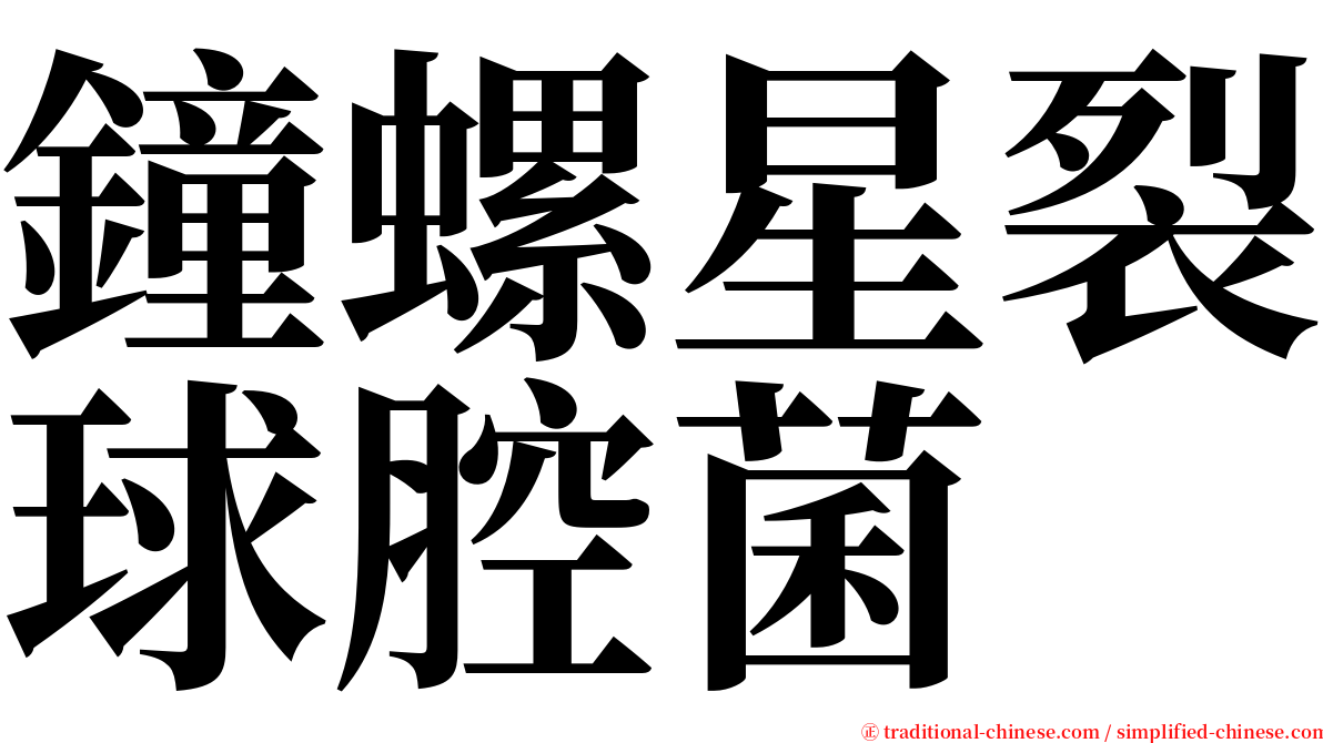 鐘螺星裂球腔菌 serif font