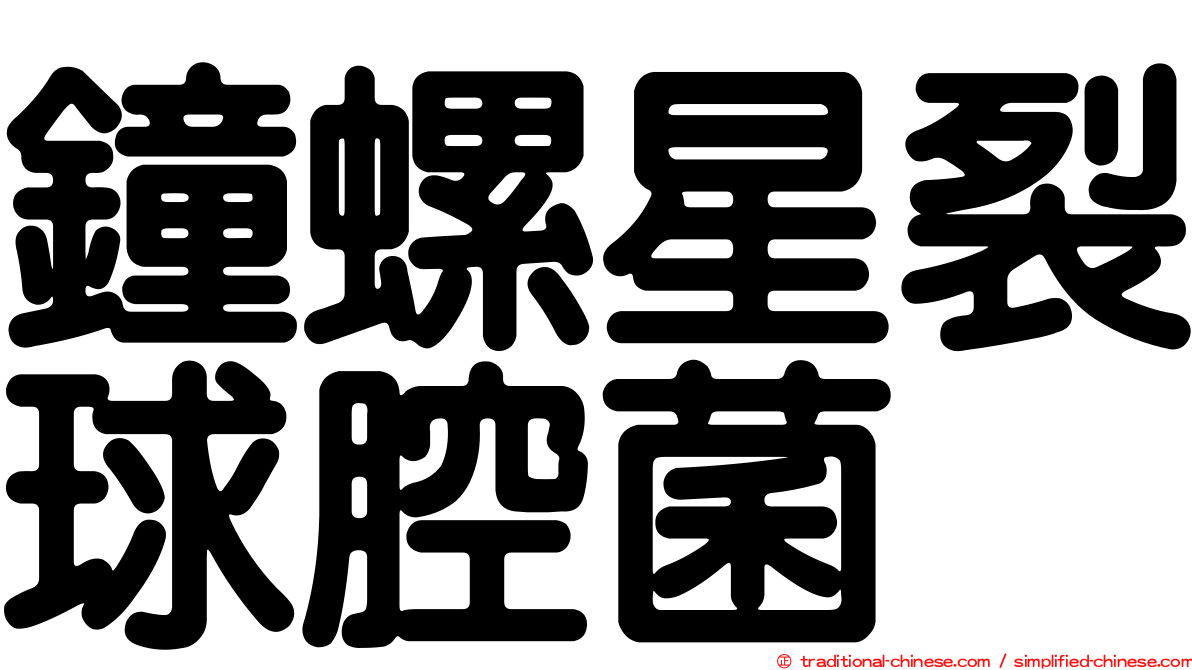 鐘螺星裂球腔菌