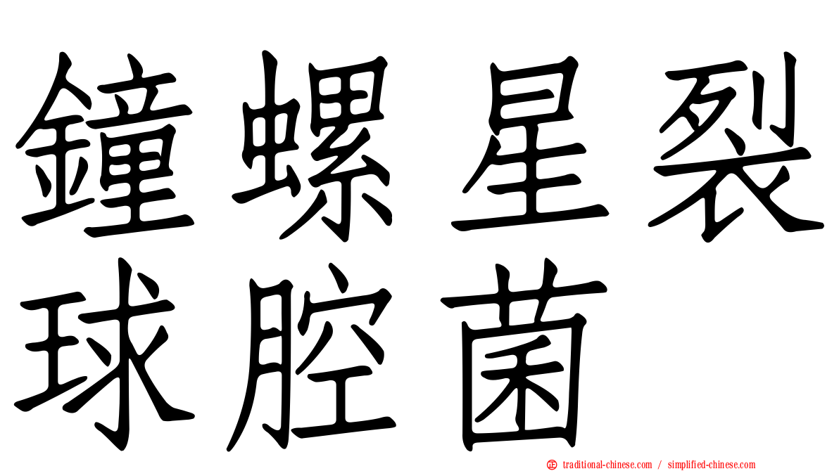 鐘螺星裂球腔菌