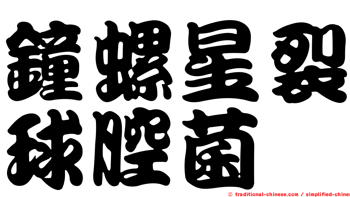 鐘螺星裂球腔菌