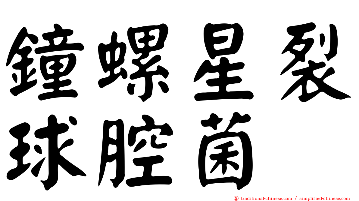 鐘螺星裂球腔菌