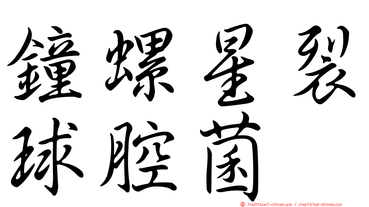鐘螺星裂球腔菌