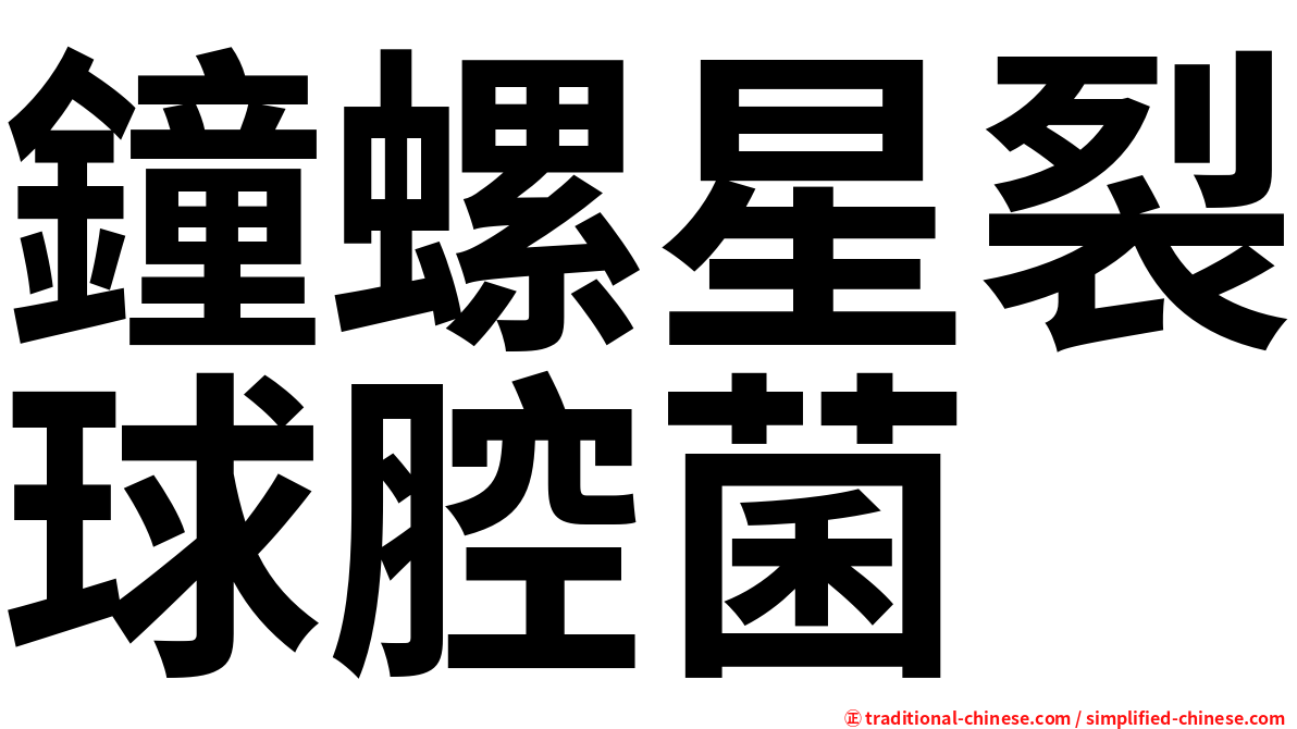 鐘螺星裂球腔菌