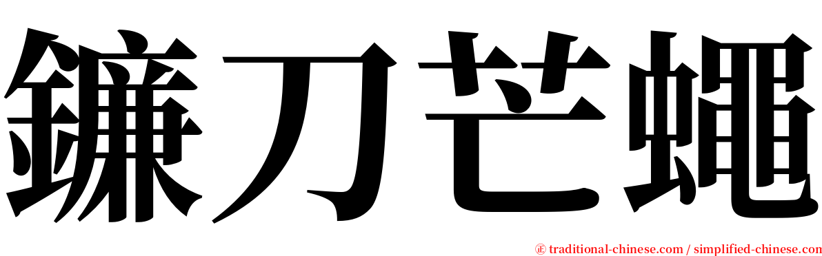 鐮刀芒蠅 serif font