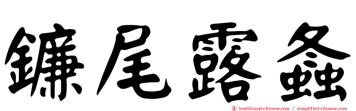 鐮尾露螽