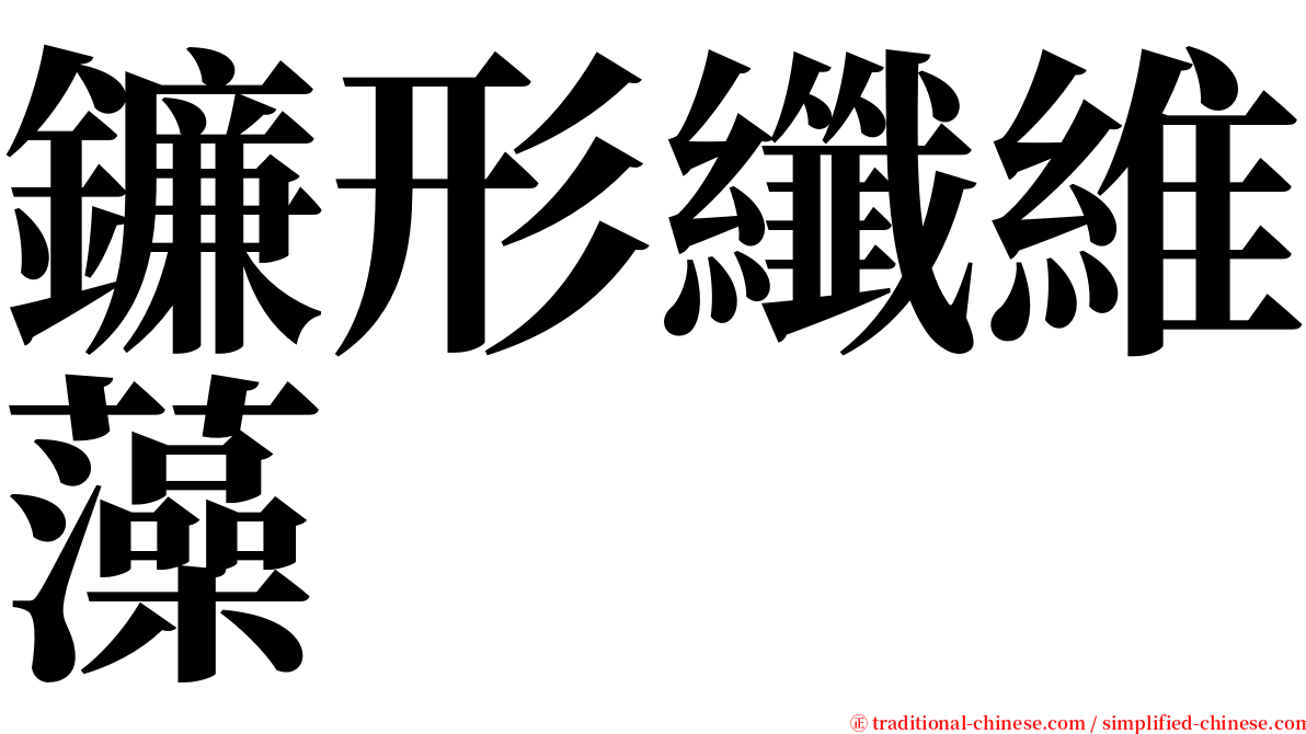 鐮形纖維藻 serif font