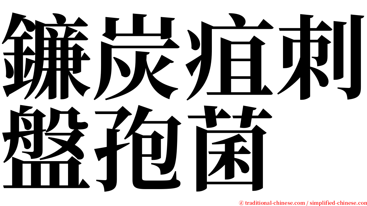 鐮炭疽刺盤孢菌 serif font