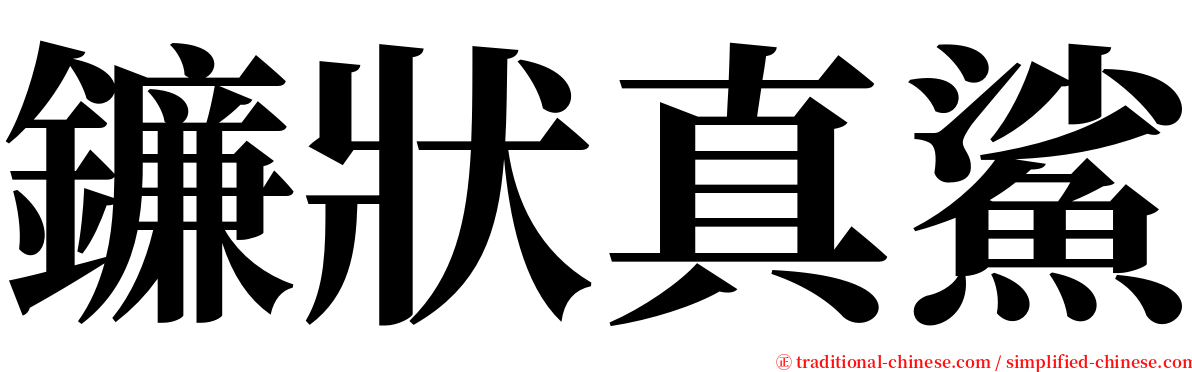 鐮狀真鯊 serif font