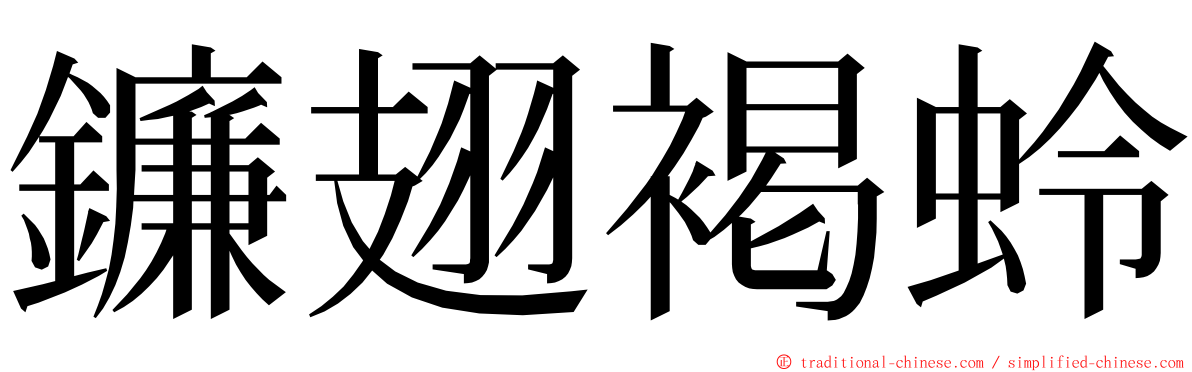 鐮翅褐蛉 ming font