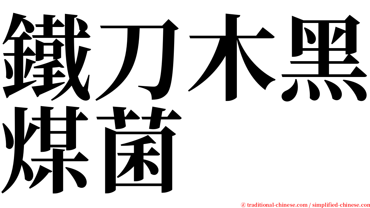 鐵刀木黑煤菌 serif font