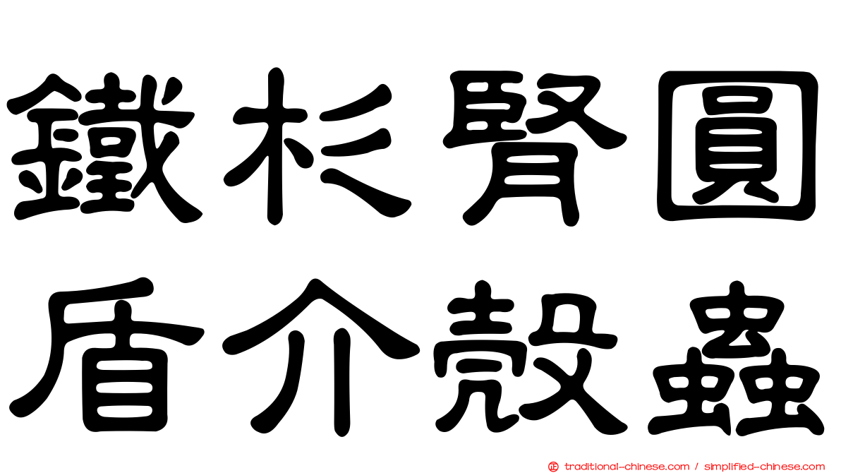 鐵杉腎圓盾介殼蟲