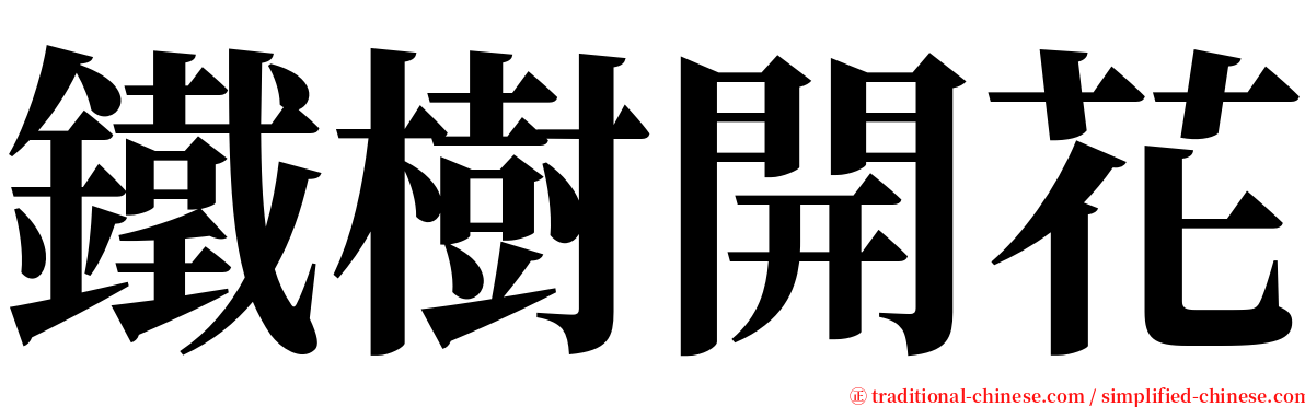 鐵樹開花 serif font