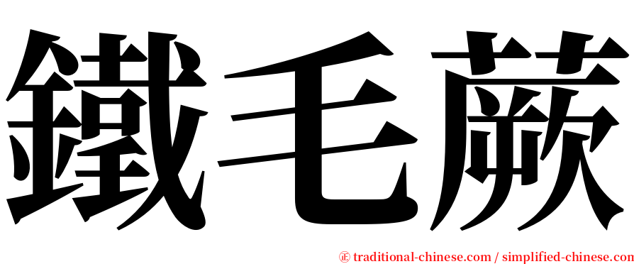 鐵毛蕨 serif font