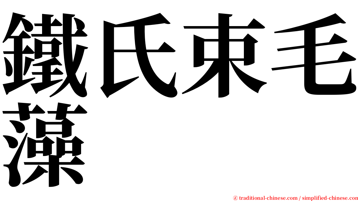 鐵氏束毛藻 serif font