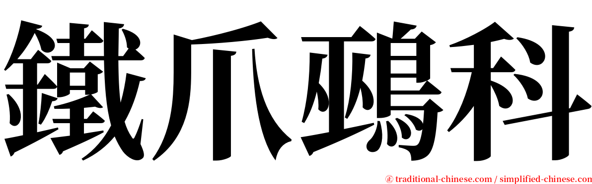 鐵爪鵐科 serif font