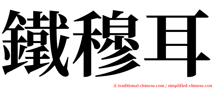 鐵穆耳 serif font