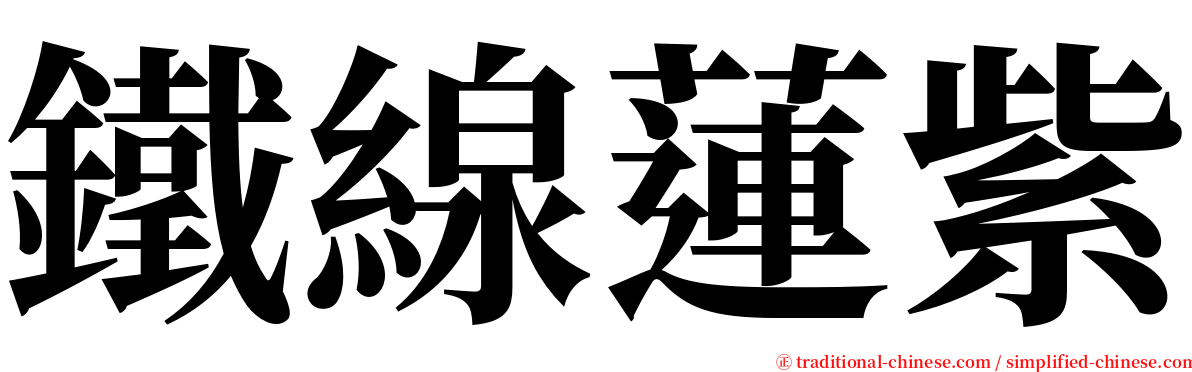 鐵線蓮紫 serif font