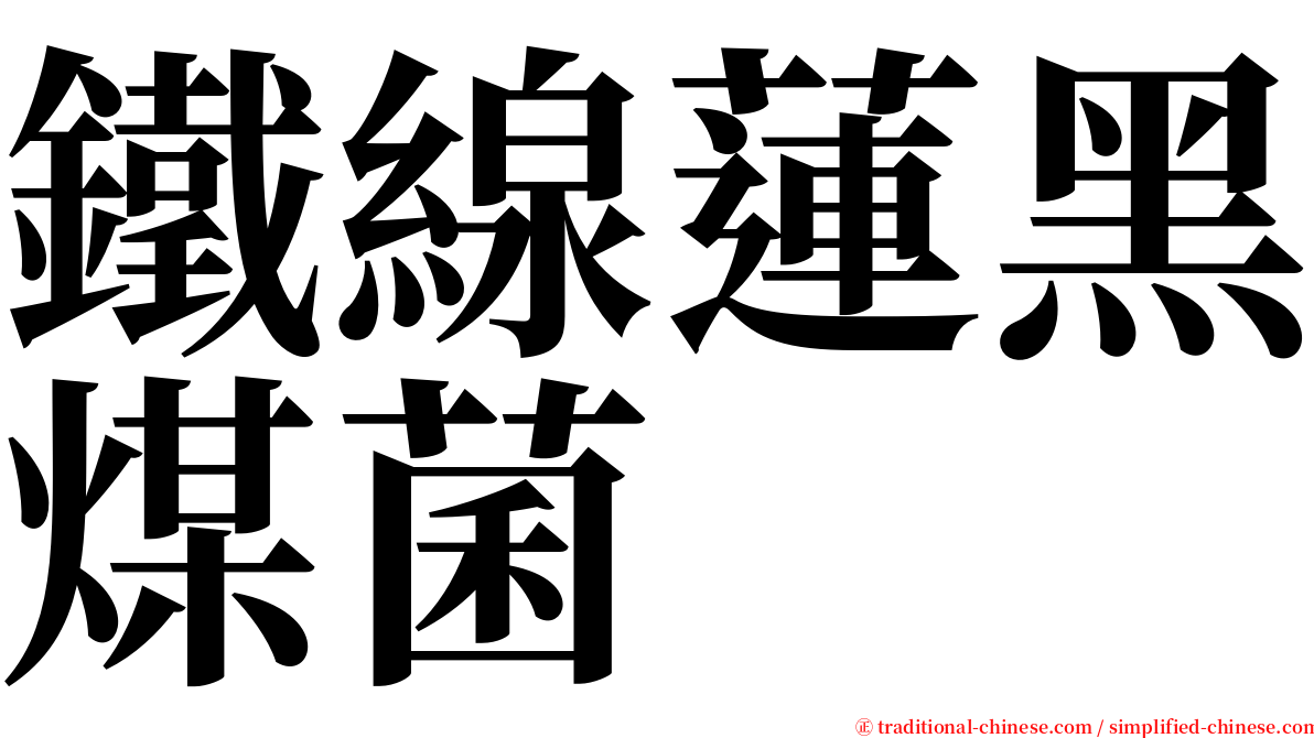 鐵線蓮黑煤菌 serif font