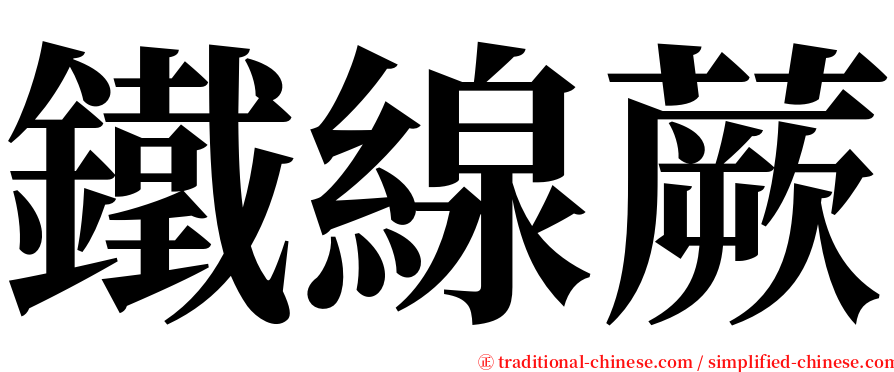 鐵線蕨 serif font