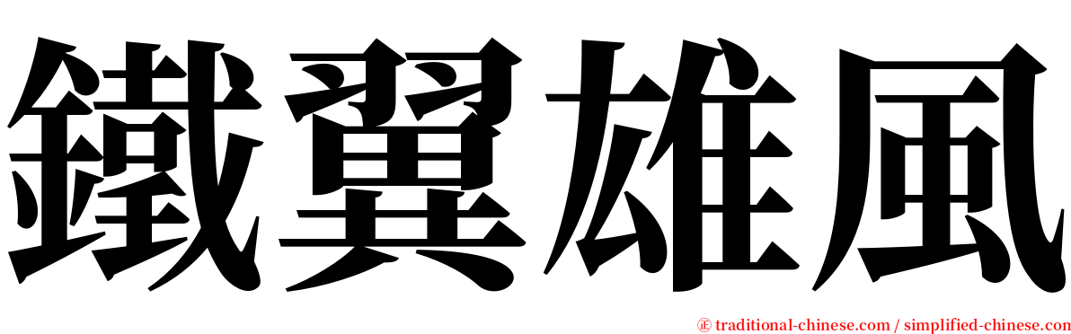 鐵翼雄風 serif font