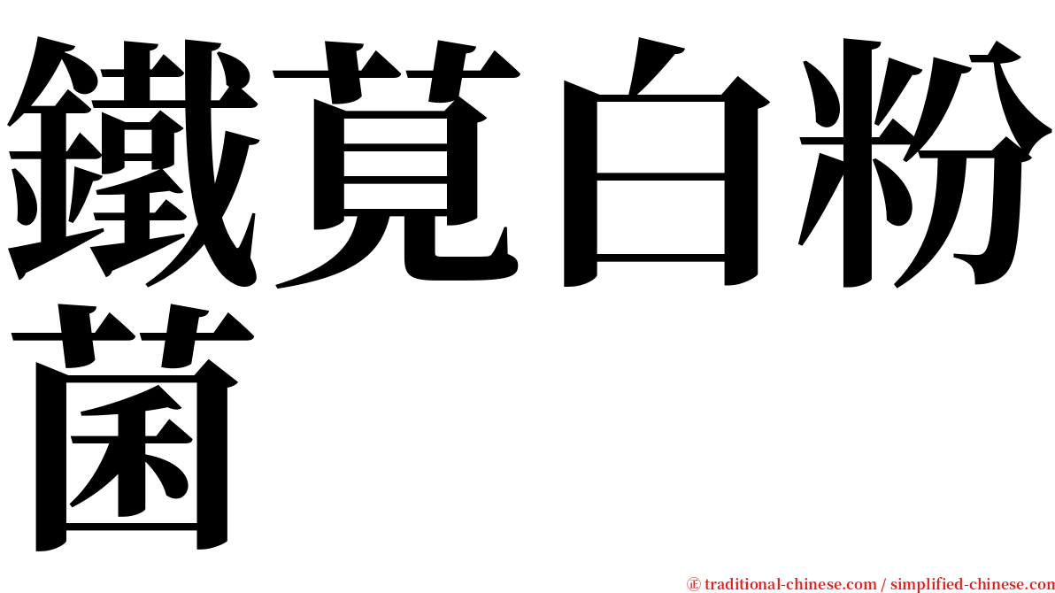 鐵莧白粉菌 serif font