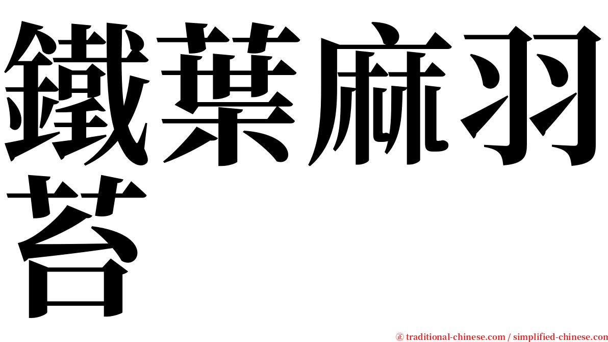 鐵葉麻羽苔 serif font