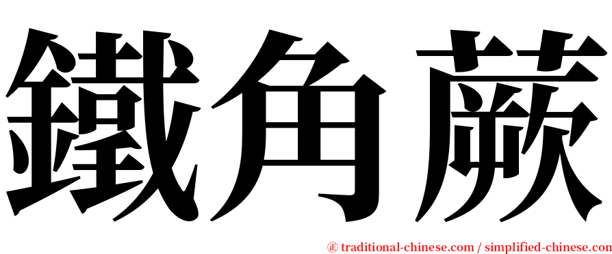 鐵角蕨 serif font