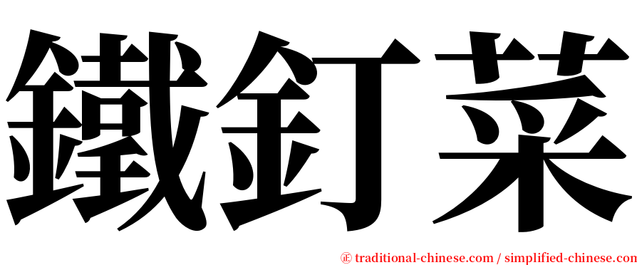 鐵釘菜 serif font