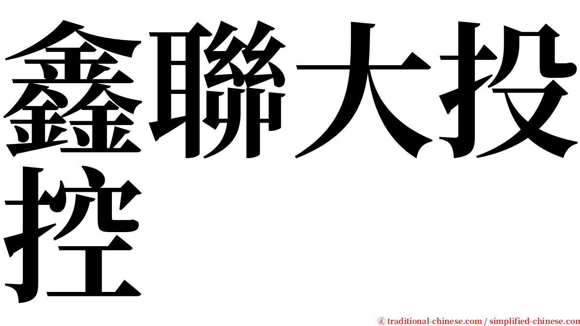 鑫聯大投控 serif font